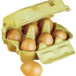 brownegg.jpg