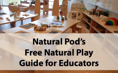 Free Downloadable Natural Play Guide for Educators