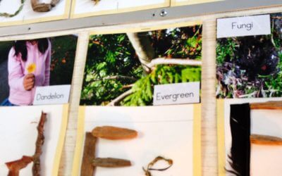 Making Learning Visible ~ How Children Learn
