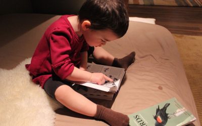 Weaving into the Curriculum