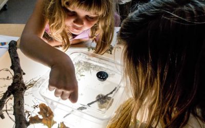 Playing with Water and Light at the David Suzuki School
