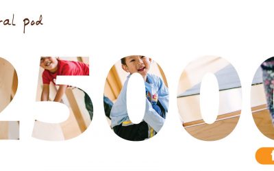 25,000+ Fans Giveaway ~ Win a Portable Play Kitchen