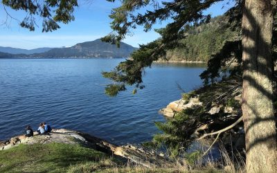 Earth Day Appreciation Sale