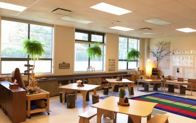 Green Your Classroom – Series Part 2