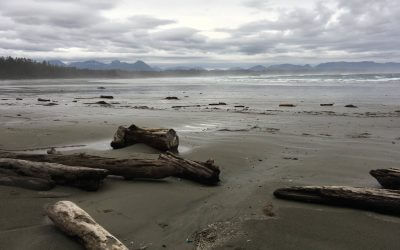 Daily Experiences with Nature Empower Students