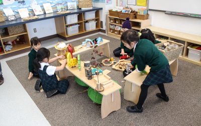 Loose Parts for Better Learning and Play