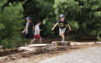 International Day of Forests: Learn to Love Forests and Sustainably Made Learning Furniture