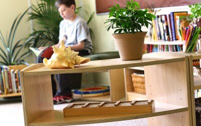 Research: How Satisfied Are Educators With School Renovation Projects