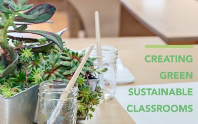 Easy Steps To Creating A Green Sustainable Classroom