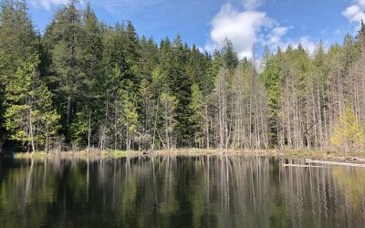 If There’s No Natural Resources, Then There’s No Business