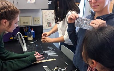 Bringing Biomimicry to Oak Park: One Approach to Integrating Biomimicry into the K-12 Curriculum