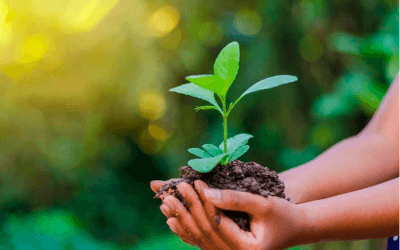 To Care For Each Other, We Need To Care For The Only Home We Have