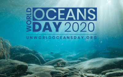 Our Ocean Is Our Future – World Oceans Day 2020