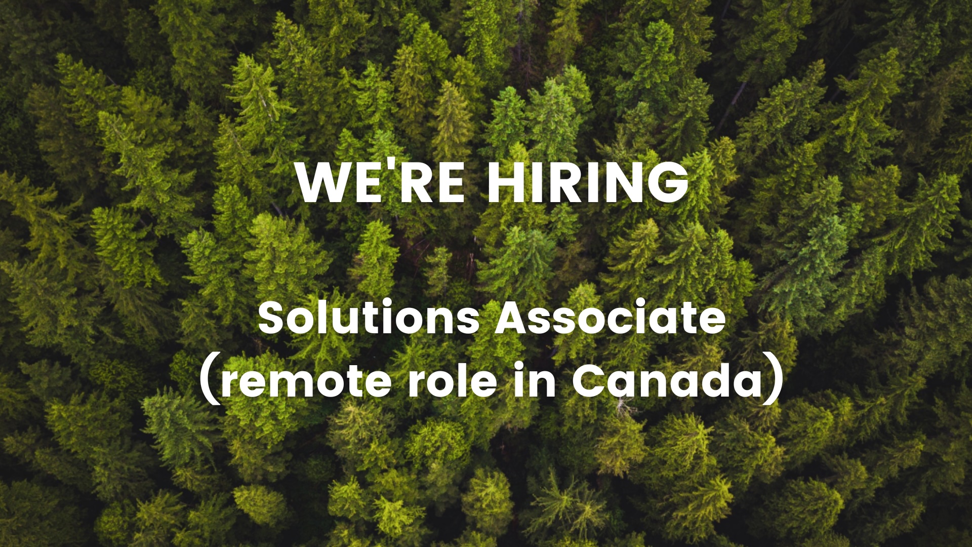 Hiring Solutions Associate
