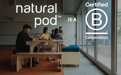 Yes, it’s true! We’re now B Corp certified… What does it mean for you?