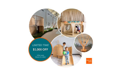 The Wonder Play Lofts + Structures – at a Wonderful price