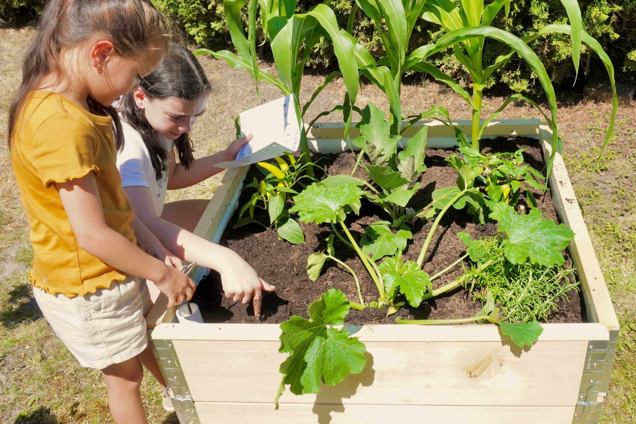 Two young girls closely observe and tend to vegetables and herbs in a Natural Pod LifeSpace Project Garden Box.