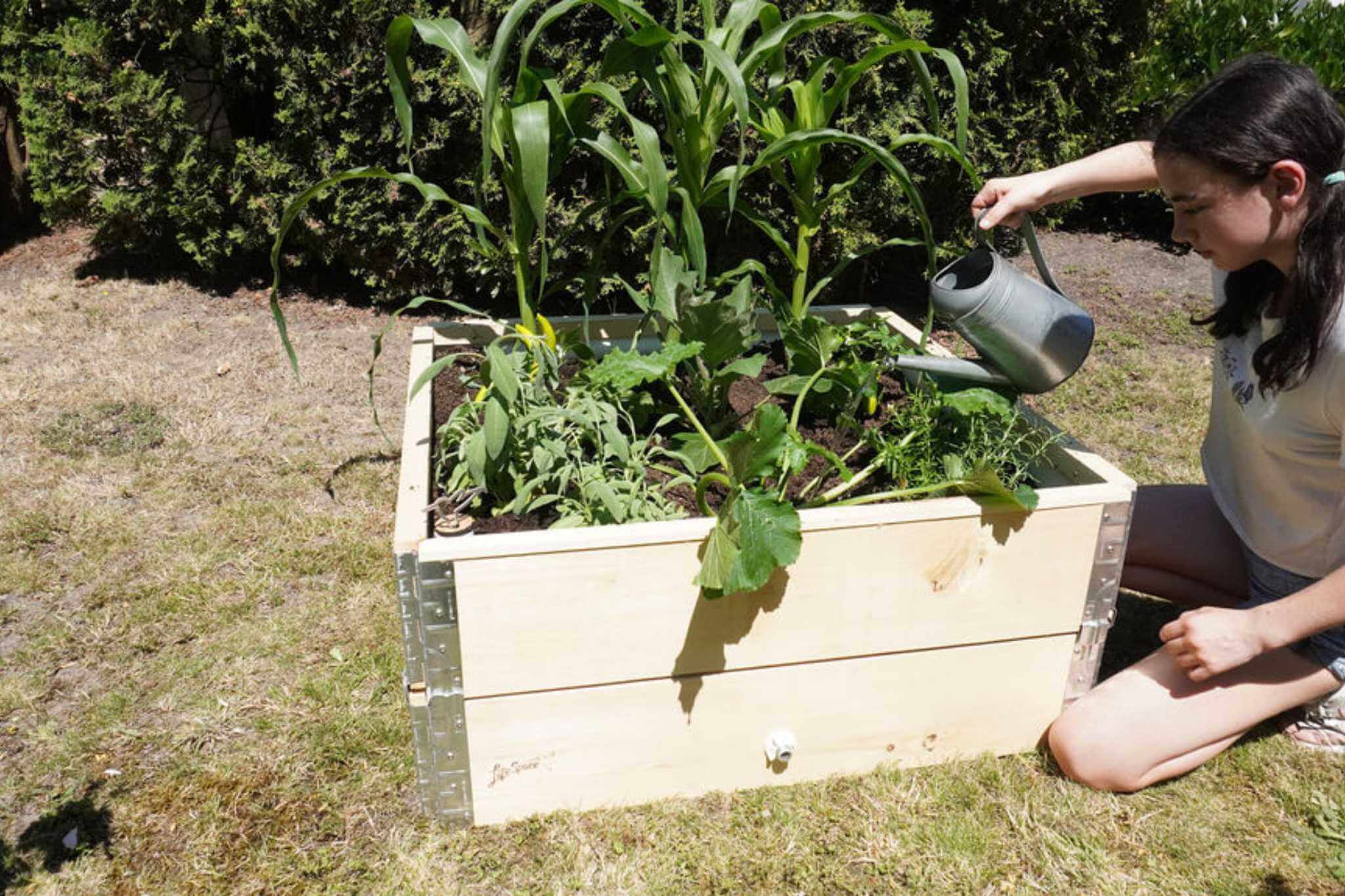 A young person waters a thriving Natural Pod LifeSpace Project Garden Box.