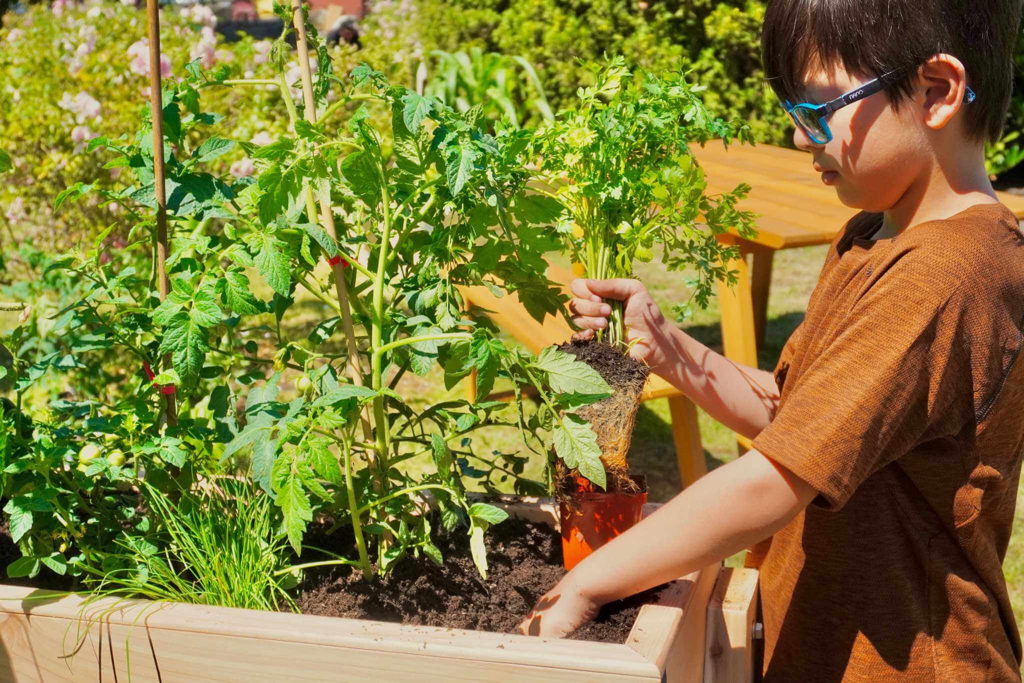 A young boy carefully plants a seedling in a thriving Natural Pod LifeSpace HighRise with wheels.