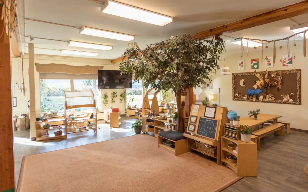 Biophilic Design in the Classroom: A Natural Blueprint for Learning