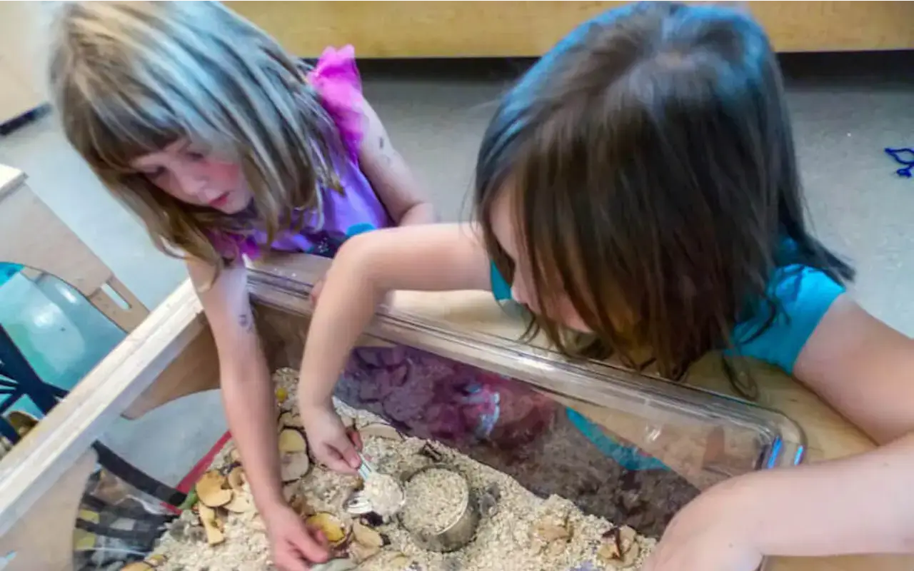 Two children play in a Natural Pod Reach Nature Table, scooping natural materials.